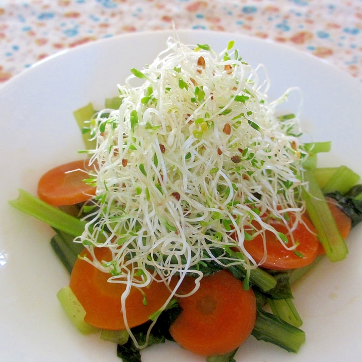 小松菜とにんじんのオイル煮とアルファルファのサラダ